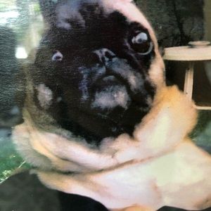 Meet your Posher, Cindy